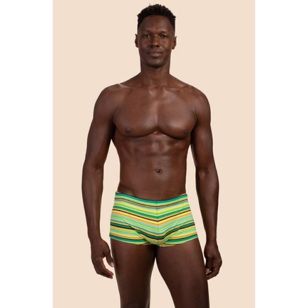 MR TURK Sorrento Swim Trunk ~ Stripe Swim Knit Small S NWT
